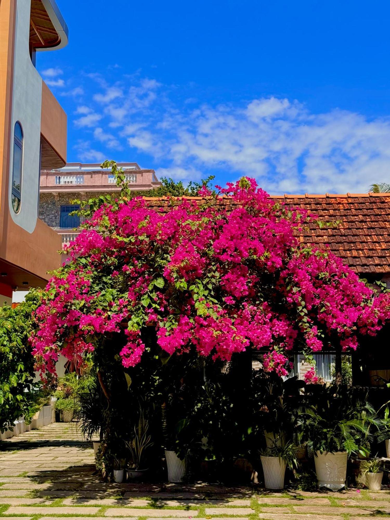 Ho Coc Homestay Экстерьер фото