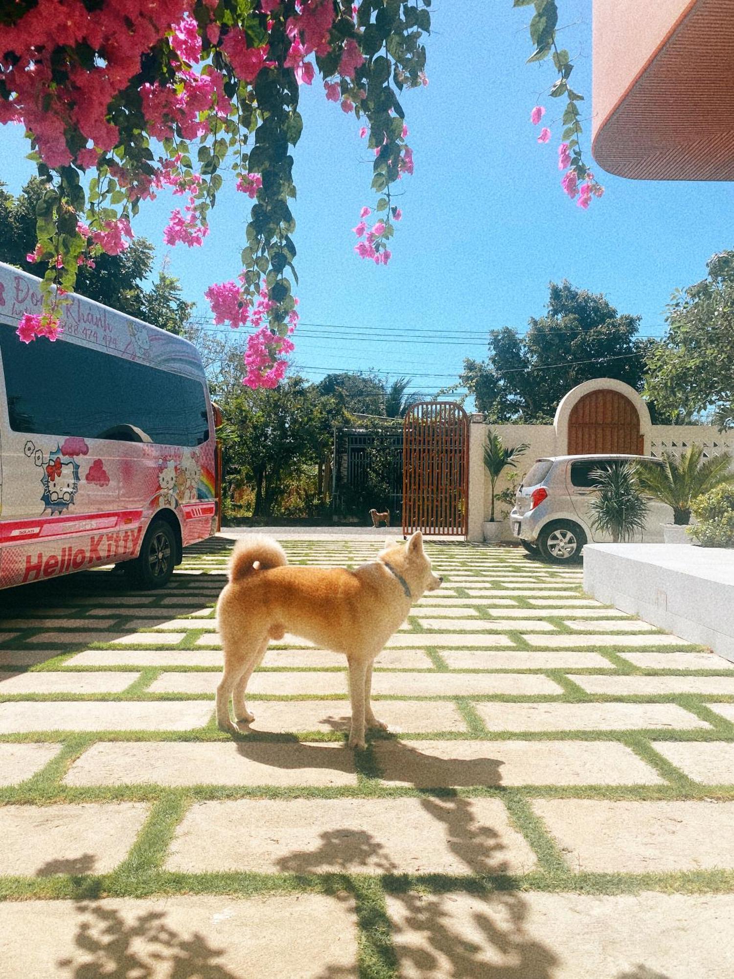 Ho Coc Homestay Экстерьер фото